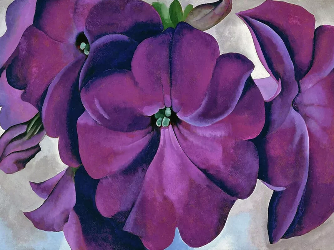 Georgia O’Keeffe’s Blossoms