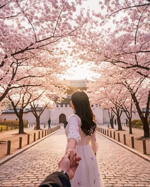 follow me to south korea paint by numbers Follow Me To South Korea Paint By Numbers