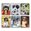 Black and white tibetan terrier Mini paint by numbers