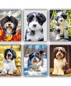 Black and white tibetan terrier Mini paint by numbers