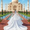 Bride In India Paint By Numbers