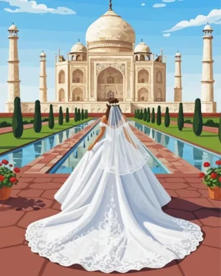 Bride In India Paint By Numbers 