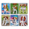Spaniel Dog Mini Paint By Numbers