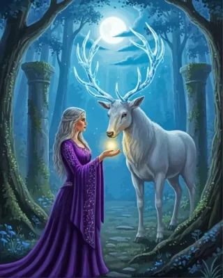 The Night Princess Paint By Numbers 