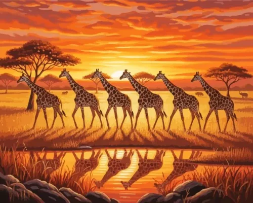 African Giraffes Paint By Numbers 