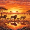 African Lions Paint By Numbers