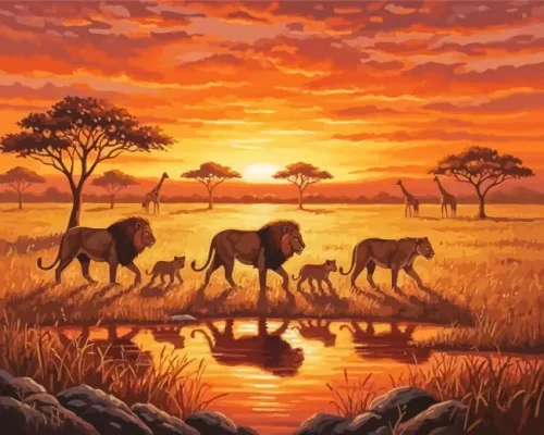 African Lions Paint By Numbers 