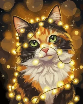 Cat And Lights Paint By Numbers 