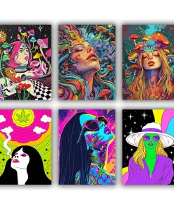 trippy girl mini paint by numbers