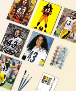 troy polamalu mini paint by numbers