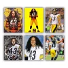 troy polamalu mini paint by numbers