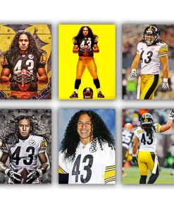 troy polamalu mini paint by numbers