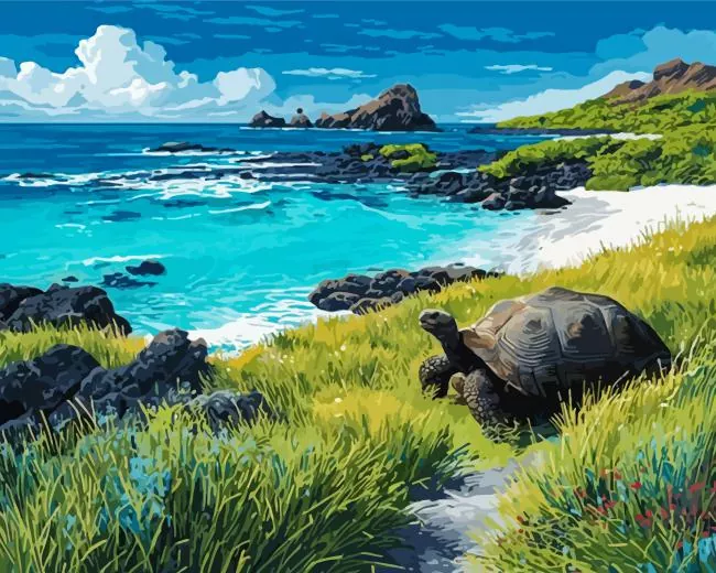 galapagos paint by number Galapagos Paint By Numbers