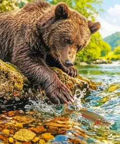 Brown Bear Catching A Fish Paint By Numbers