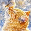 Cat And Bird Paint By Numbers
