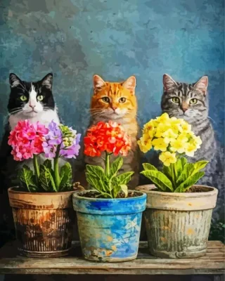 Cat And Flowers Paint By Numbers 