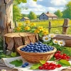 Farm Fruits Paint By Numbers