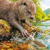 Otter Trying To Catch A Fish Paint By Numbers