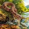 Snake Catshing Fish Paint By Numbers