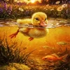Sunset Duck Paint By Numbers
