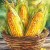 Tasty Corn Paint By Numbers