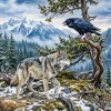 Wolf And Raven Paint By Numbers
