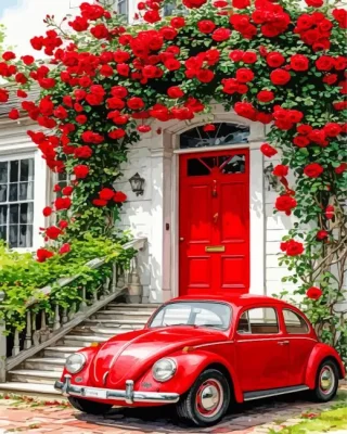 Red Car And Flowers Paint By Numbers 