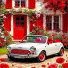 White Car And Flowers Paint By Numbers