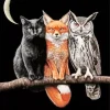 The Cool Trio Paint By Numbers