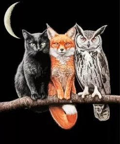 The Cool Trio Paint By Numbers