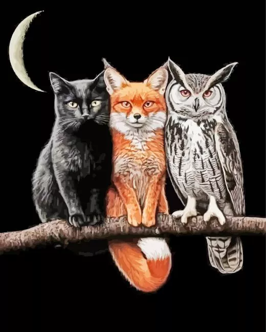 The cool trio paint by number