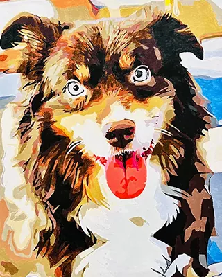 Bright eyed pup brought to life as a colorful custom paint by numbers portrait