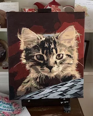 Custom paint by numbers portrait of a tabby cat on canvas
