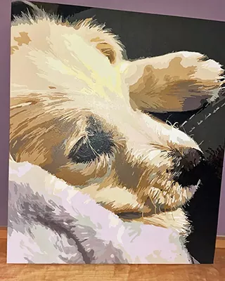 Sleeping dog in a custom paint by numbers portrait