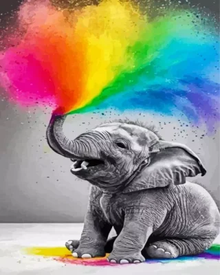 Happy Elephant Paint By Numbers 