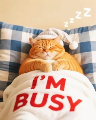 Lazy Cat Paint By Number