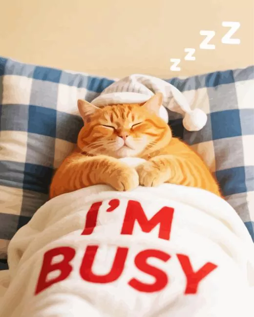 lazy cat paint by number Lazy Cat Paint By Number