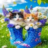 Shoes And Cats Paint By Numbers