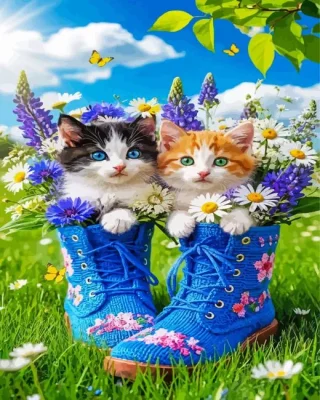 Shoes And Cats Paint By Numbers