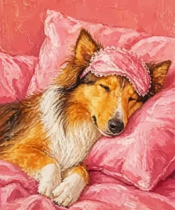 Sleepy Dog Paint By Numbers