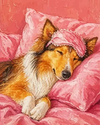 Sleepy Dog Paint By Numbers