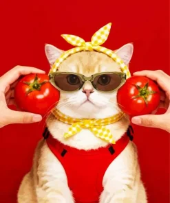 Tomato Cat Paint By Numbers
