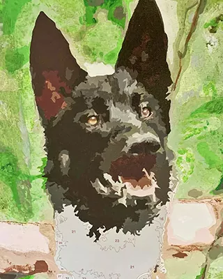 Black German Shepherd featured in a partially completed custom paint by numbers portrait
