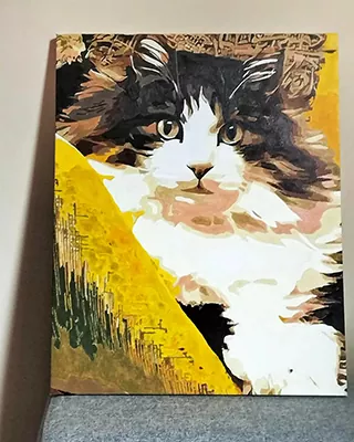 Black and white fluffy cat featured in a custom paint by numbers portrait