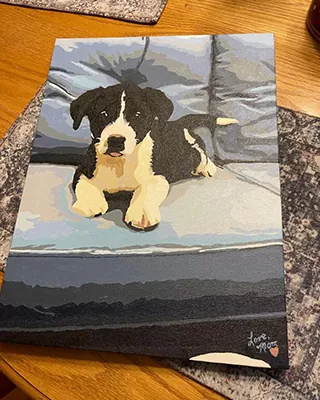 Black and white puppy resting on a bed in a custom paint by numbers portrait