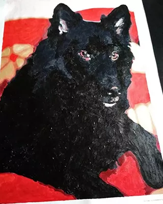 Black dog resting against a red background in a custom paint by numbers portrait