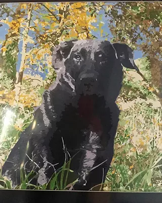 Black dog sitting among autumn trees in a custom paint by numbers portrait