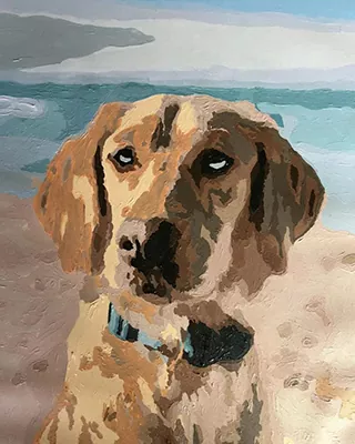 Brown and white dog by the ocean in a custom paint by numbers portrait