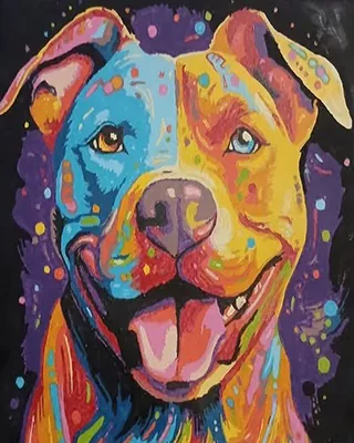 Colorful smiling dog portrait with vibrant rainbow details