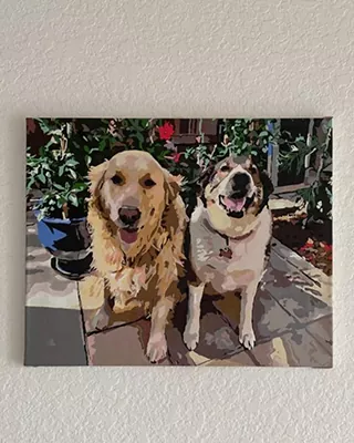 Custom paint by numbers canvas featuring two happy dogs in the garden